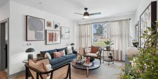 Bluebird on Seventy Gallery 4