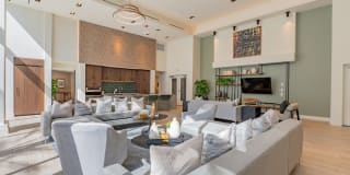 Essence Essence Gallery 41