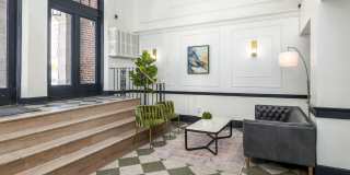 The Dahlia Gallery 62
