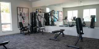 ila Hyde Park Gallery 40