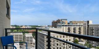 Ellis Bethesda Gallery 14