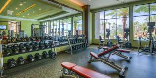 The Strand Gallery 14