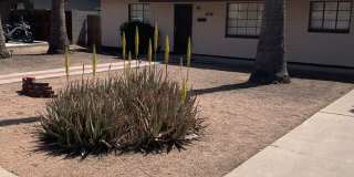 WALK TO - ASU AREA — OPEN HOUSE COMING.  Remodeled 5 Bedroom 3 bath Home with Pool - Next to Light Rail stop. Gallery 10