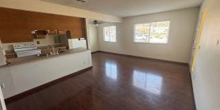 Updated 2 Bed / 1 Bath Condo in Lakeside Gallery 3