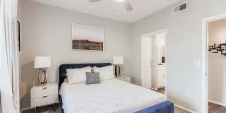 Mandarina Apartment Homes Gallery 65
