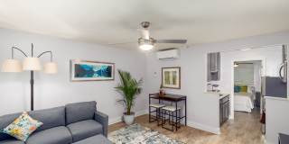 Naples 701 Gallery 3