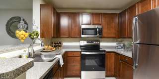 Chestnut Oaks, 55+ Gallery 4