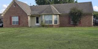 7155 COFFEEVILLE Cv Gallery 1
