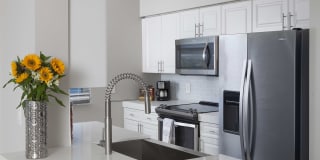 Sunrise Harbor Gallery 3