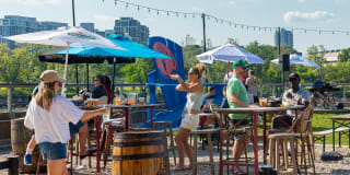 The Hazel Gallery 24