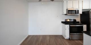 Volterra at La Mesa Gallery 19