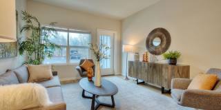 Alder Walk Gallery 21