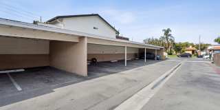 Newland Garden Gallery 15