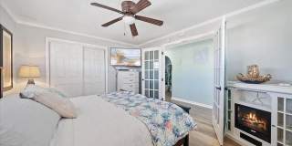 Dolphin Beach Gallery 8