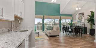 South Winds Gallery 7