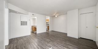 Desert Springs Gallery 25