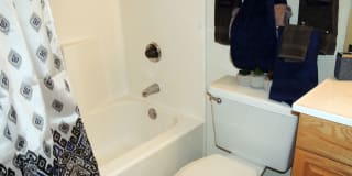 Alexis Park Gallery 12