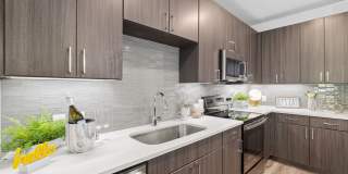 The Standard at Legacy Gallery 2