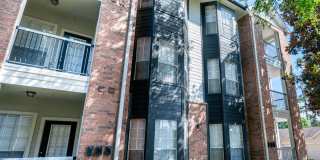 Whitney at The Heights Gallery 21