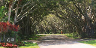 2810 Polo Island Drive Gallery 18