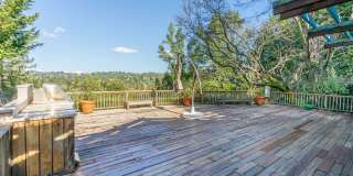 Stunning Architectural Masterpiece! 5BR+Yoga Studio/4.5BA! Ross! Views! Pool! Pet! Waterfalls!  PROGRESSIVE Gallery 8