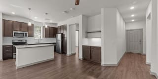 Opal Point at Kyle Gallery 51