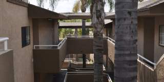 2 Bedroom 2 Bath Condo with Pool and Private Parking Space Gallery 11