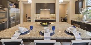 4944 Princess Gallery 7
