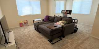 9062 Stargaze Avenue Gallery 17