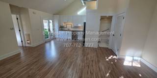 Cottage in the Heart of Downtown Sonoma ` 342 Church Street Gallery 5