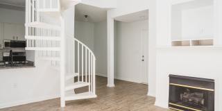 Alister Lake Lynn Gallery 12