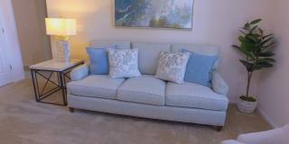 Camden Grove Gallery 5