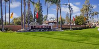 Castlepark Gallery 26