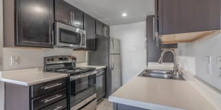 THE MODERN CACTUS Gallery 22