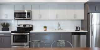 The Fifty Five Fifty Gallery 12