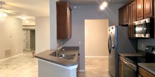 10222 River Palencia Ct Gallery 12
