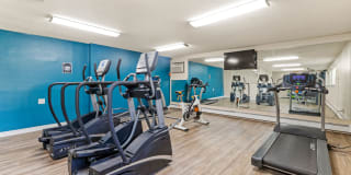 Sterling Heights Gallery 9