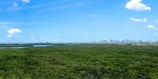 Sea View at Dania Gallery 58
