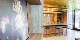 The Avalyn Gallery 28