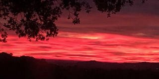 8808 CHATLAKE Dr Gallery 29