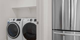 Solara Vista Gallery 24