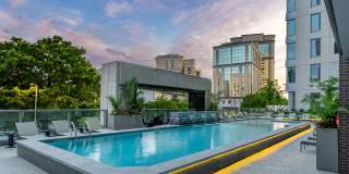 The Commodore Gallery 1