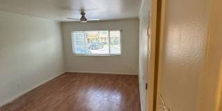 Upgraded 2 Bedroom 2 Bath Condo, Available Now! Gallery 14