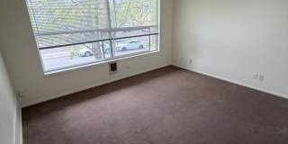 (343) Palatine Apartment  1 Bdrm / 1 Bthrm Gallery 12