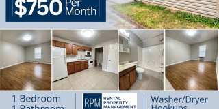 1 Bedroom Apartment in Moscow Mills, MO Gallery 1