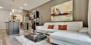 The Residences at the Domain Gallery 12