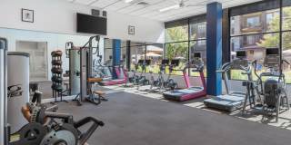 Arbour Square Apartment Gallery 66