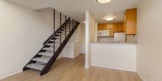 Marlene Renee Gallery 5