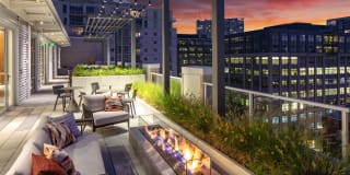 The Gossamer Gallery 15