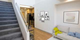 20001-2029 Olympic Gallery 4